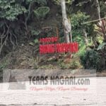 Sejarah Jorong Batang Palupuah, Ikon Wisata Bunga Rafflesia yang Mendunia